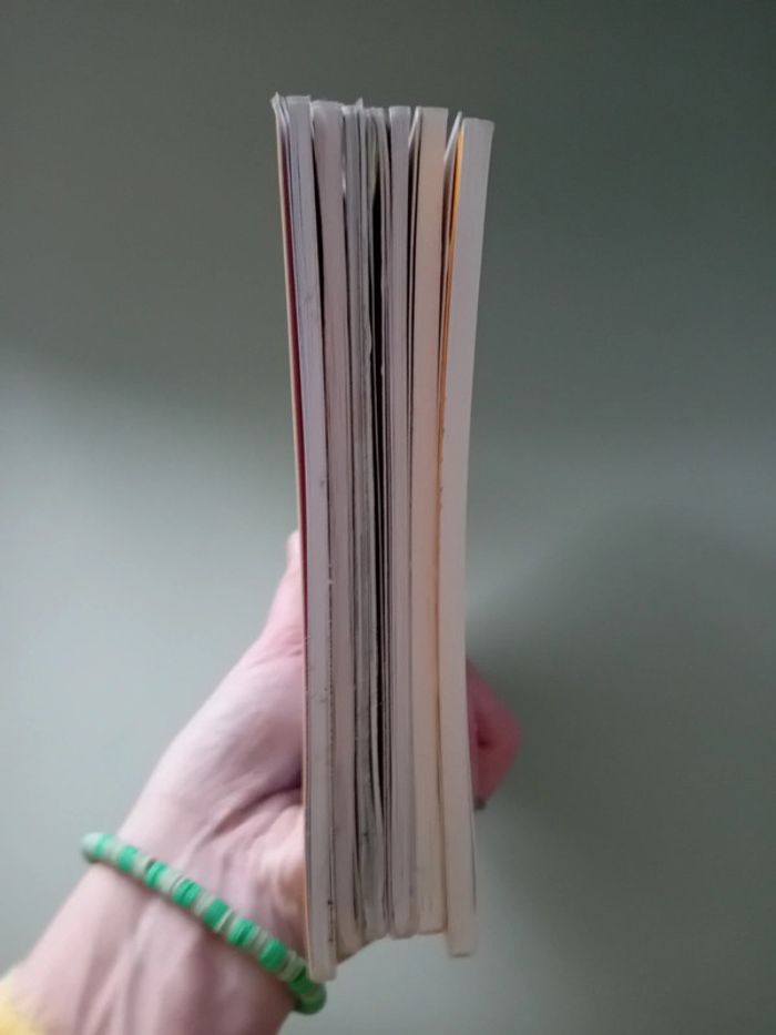 Lot de 6 petites bd souple tbe - photo numéro 10