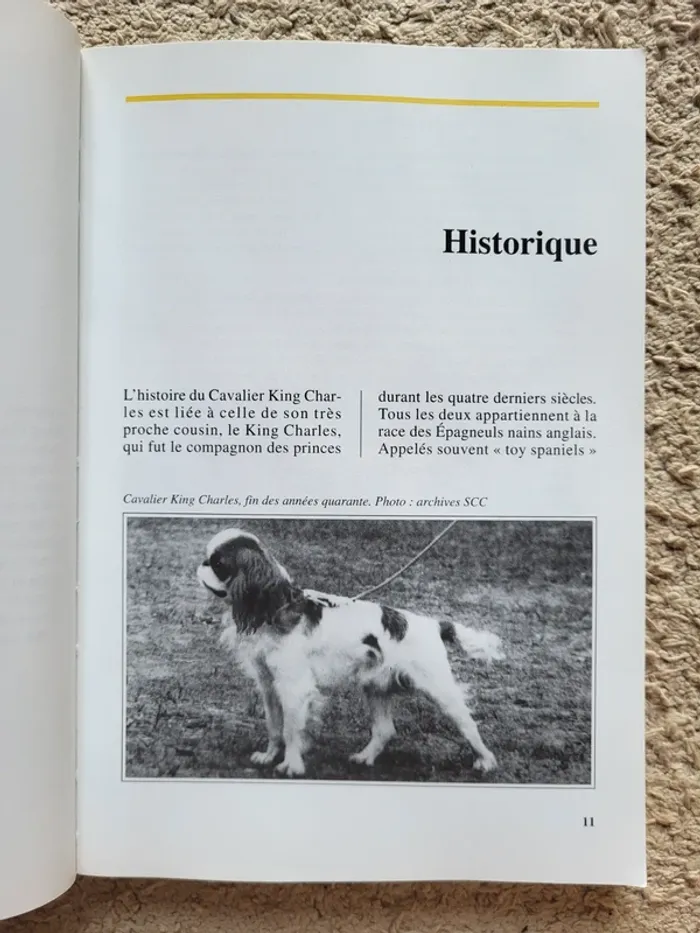 Livre chiens de race "Le cavalier King Charles" de Christian Limouzy - photo numéro 6