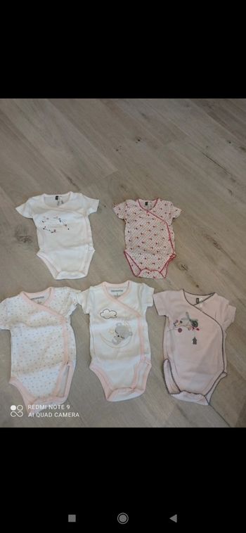 Lot de 5 bodys