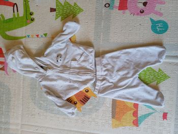 Ensemble panda
