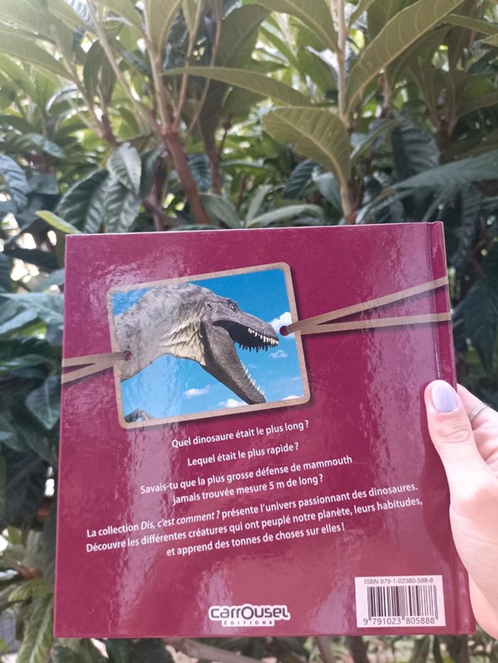 Livre les dinosaures édition carrousel. - photo numéro 4