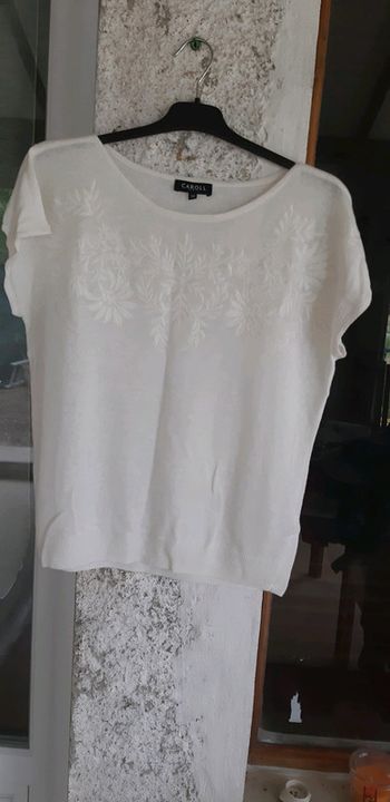 Joli haut brodé caroll