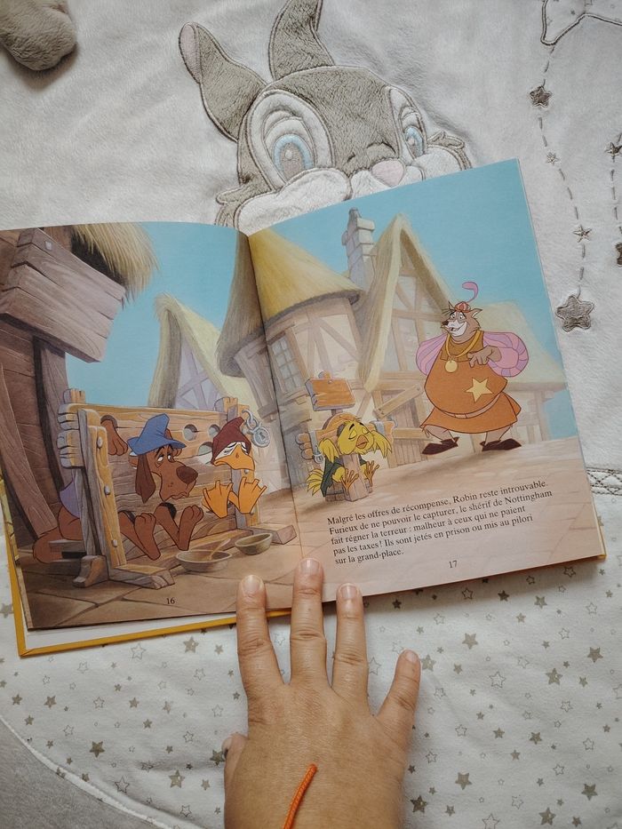 Livre robin des bois - photo numéro 2