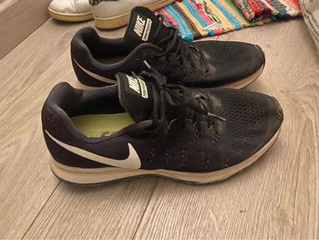 Nike pegasus