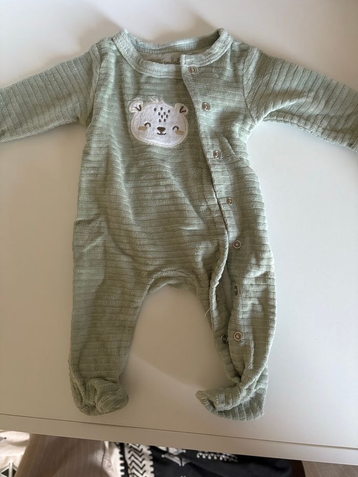 Grenouillères - photo numéro 9