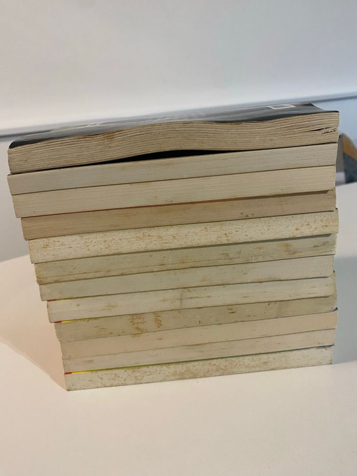 Lot 12 Livres Chair de Poule - photo numéro 4