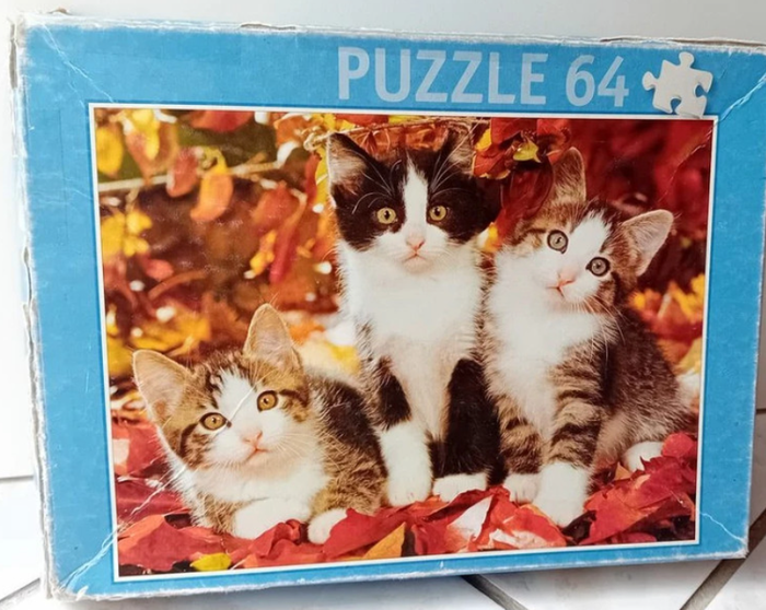 Puzzle 64 pièces chats