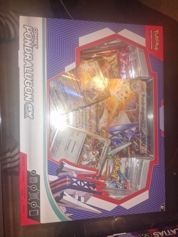Coffret pandralugon ex