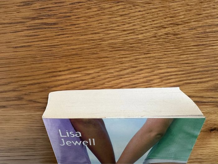 Lot de 2 livres La famille Comment en réchapper Vince & Joy – Lisa Jewell – Roman en français et - photo numéro 13