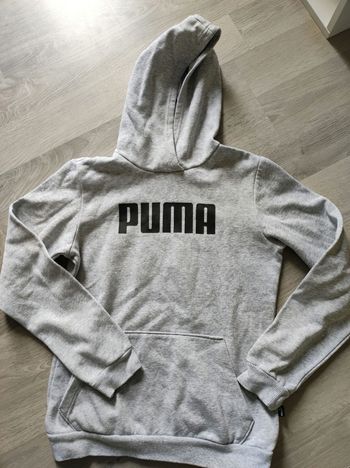 Pull puma