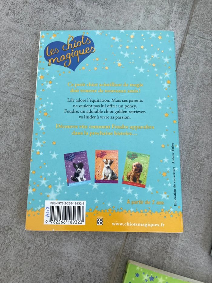 Lot 3 livres Les chiots magiques - photo numéro 5
