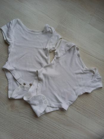 2 bodys manches courtes naissance mixte