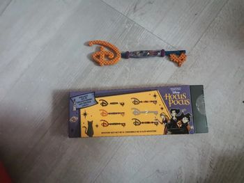 Figurine clé disney /hocus pocus