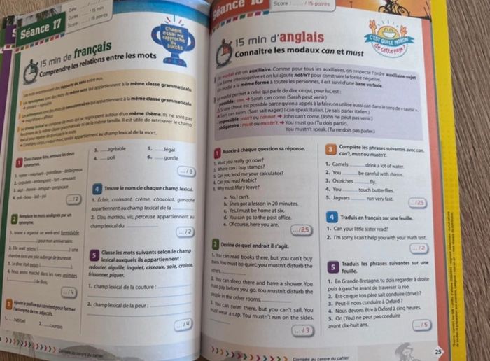 Les révisions concentrées 6e vers 5e Bordas neuf - photo numéro 7