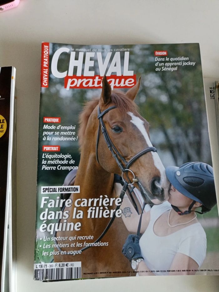 Cheval pratique - photo numéro 5