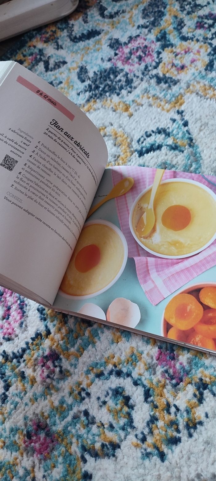 Livre de recettes pour bébé - photo numéro 2