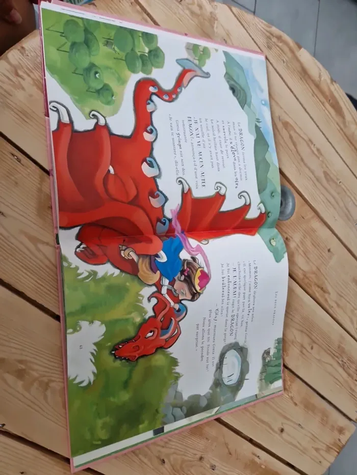 Livre princesses - photo numéro 6