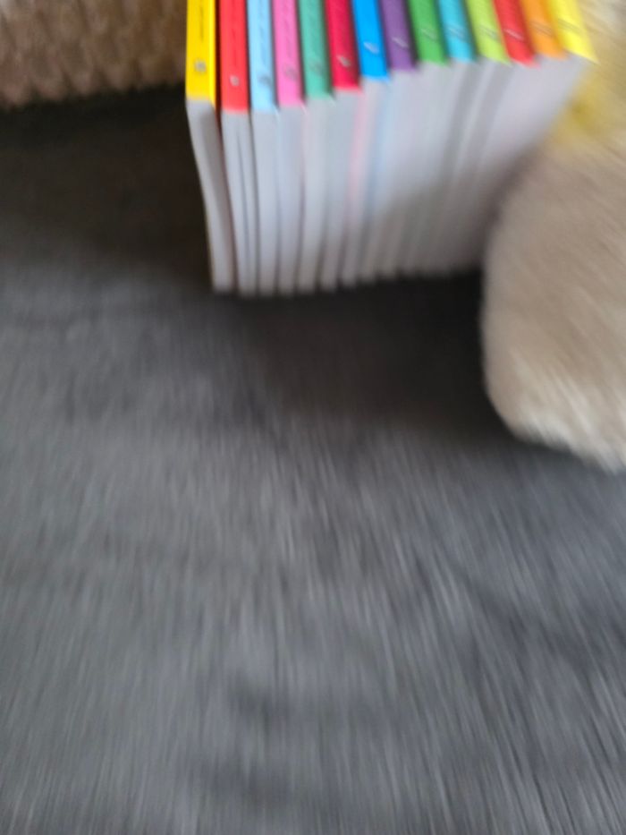 Lots de 14 livres ariol 8€ l’uniter - photo numéro 5
