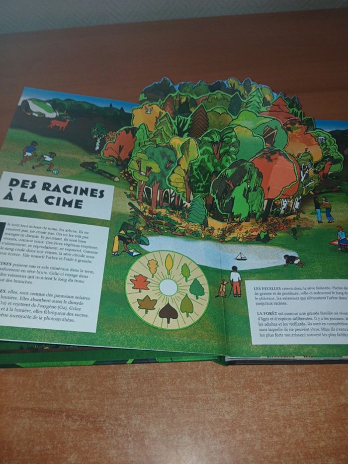 Pop-up forêt - photo numéro 4