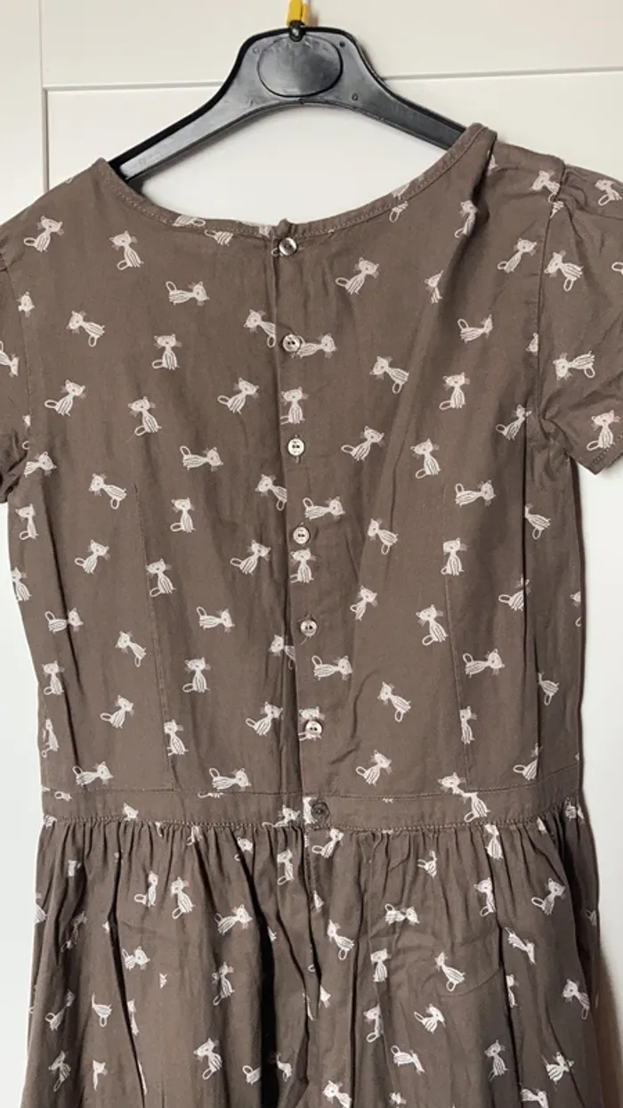 robe chat - photo numéro 5