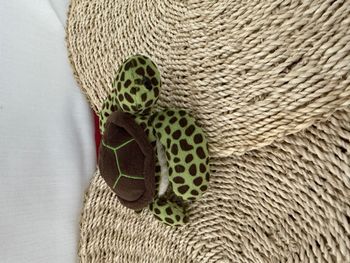 Peluche tortue Wild republic  