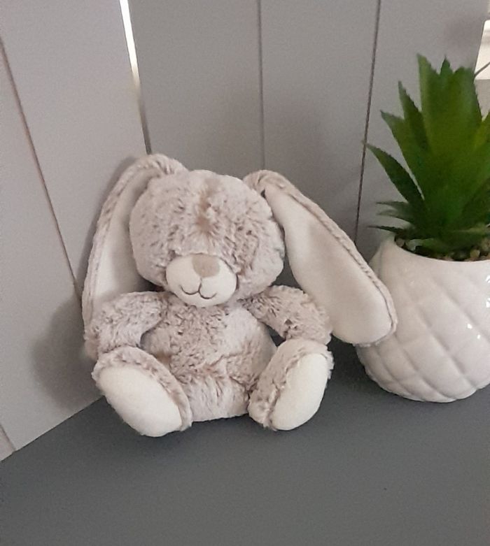 Lapin Tex baby - photo numéro 2