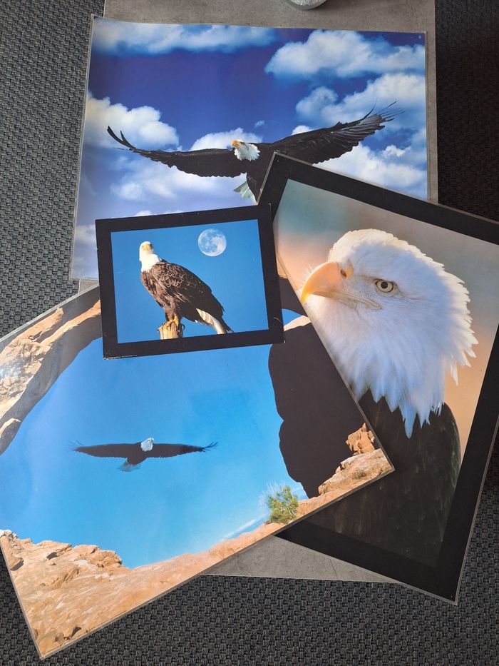 Lot 4 photos/posters aigle