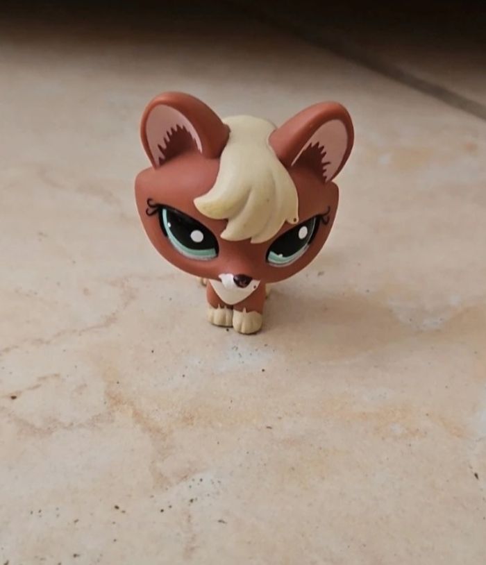 Accessoires pet shop - photo numéro 8