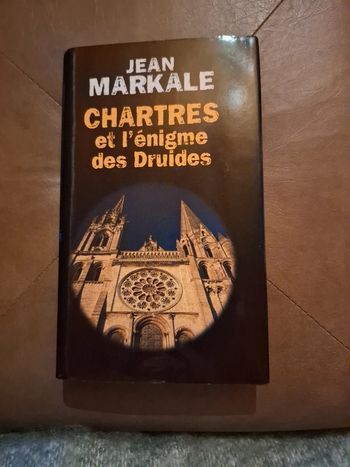 Chartres et l'énigme des druides