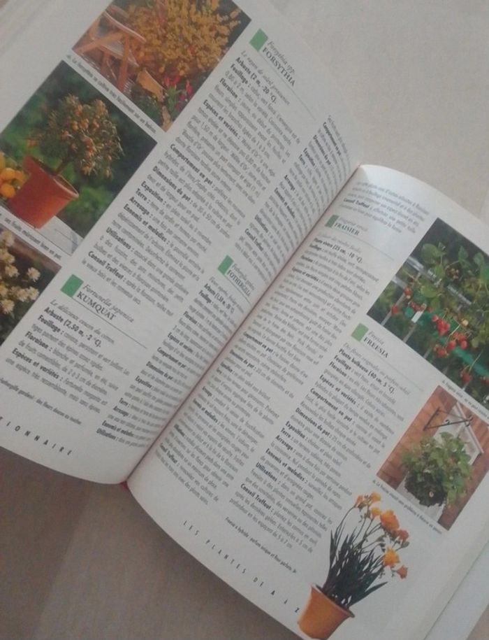 Gros livre balcons,fenêtres et terrasses - photo numéro 5