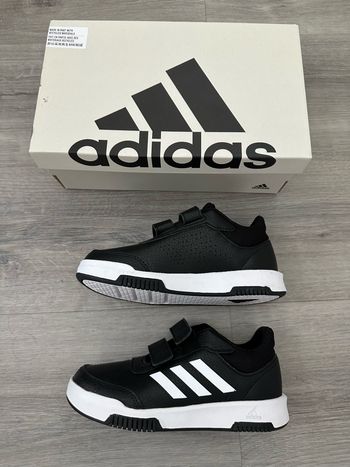 baskets Adidas 31