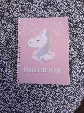 Cahier de texte