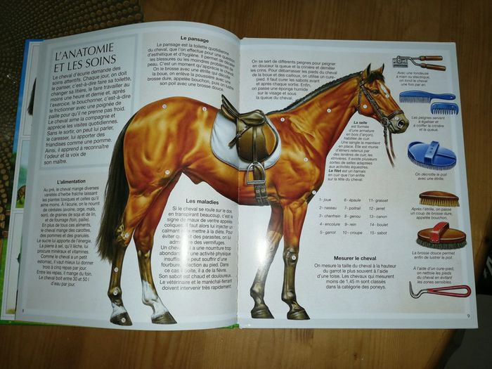 Livre sur les chevaux - photo numéro 4