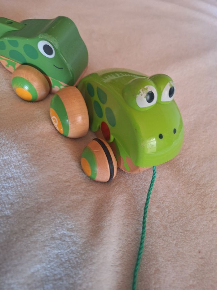 Grenouille - photo numéro 2