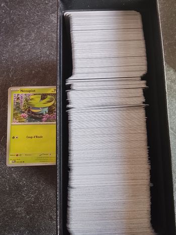 100 commune Pokémon français 