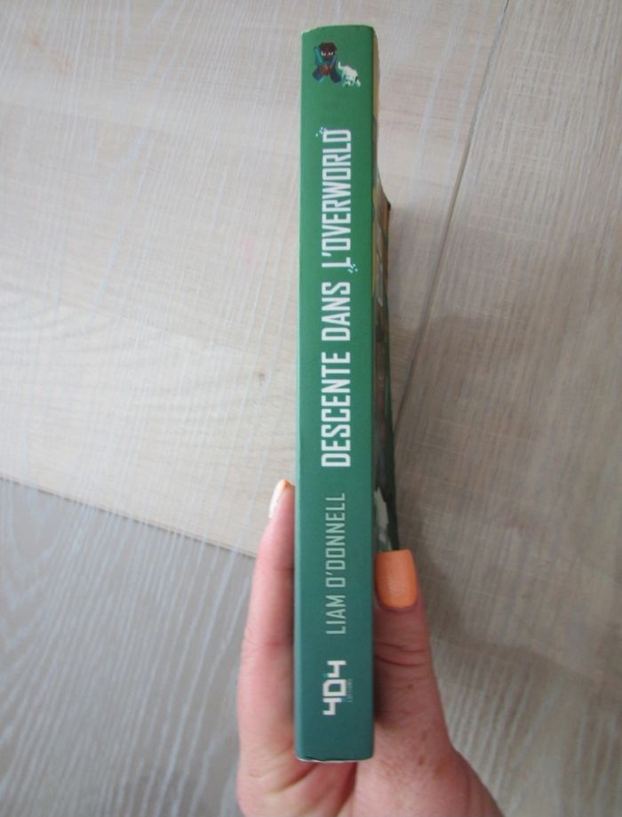 Livre Minecraft Tome 1 Descente dans l'Overworld - photo numéro 3