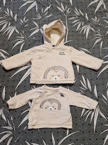 Gilet veste hérisson