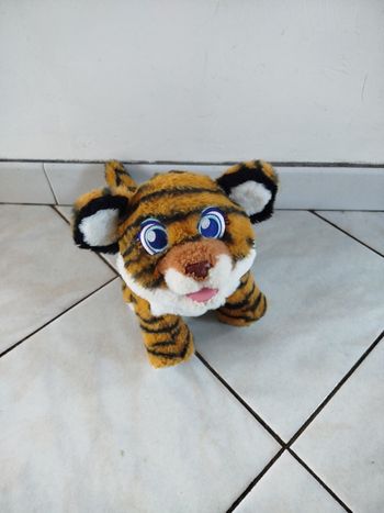Tigre interactif