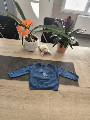 Pull léger garçon 9 mois absorba