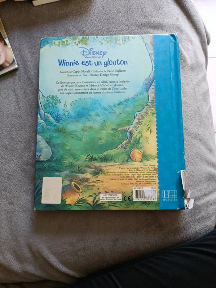 Disney Winnie est glouton - photo numéro 2