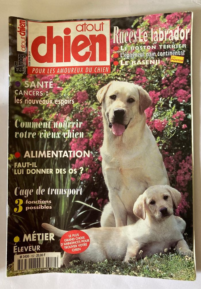 Magazine Atout chien