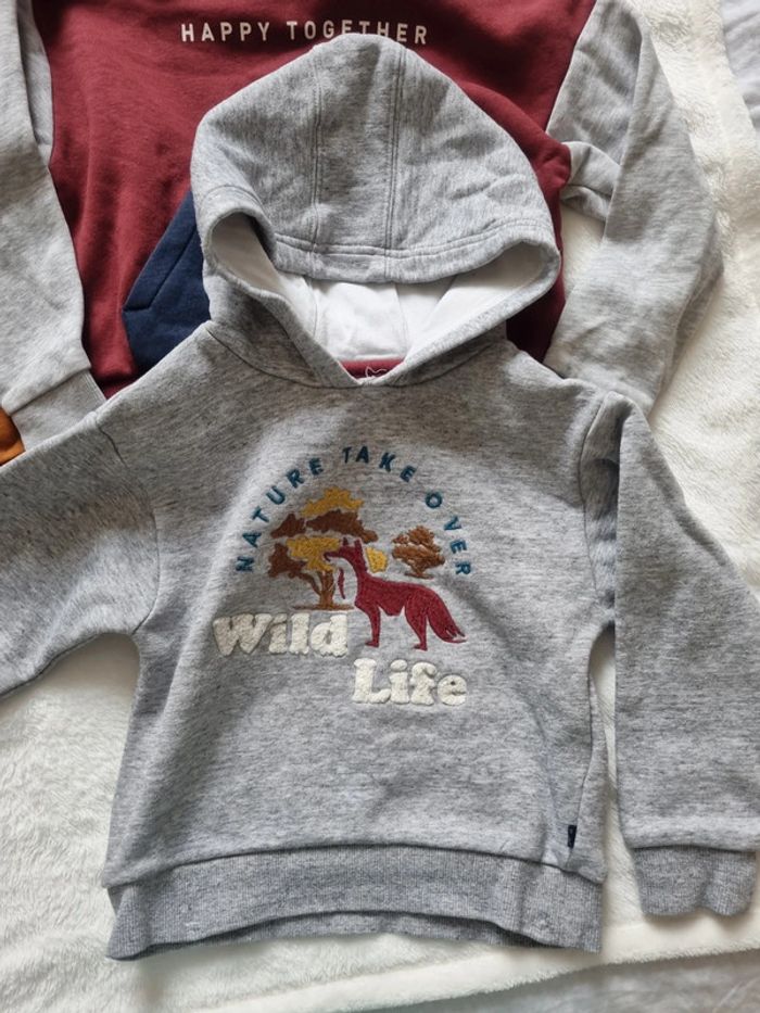 Lot 4 Sweat-shirt à capuche Okaidi 4 ans - photo numéro 4