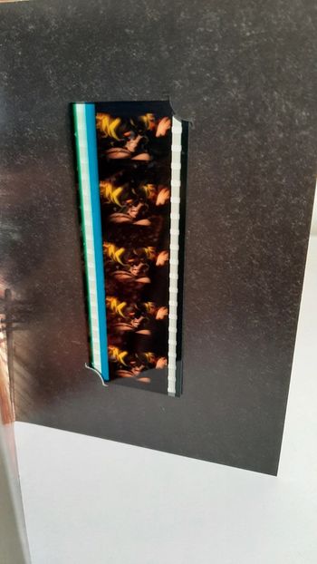 Pellicule Demon Slayer Gyutaro