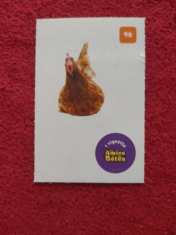 Carte nos amies les bêtes