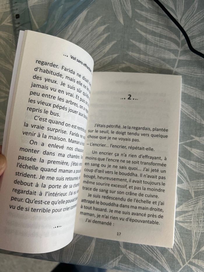 Livre neuf vol sans effraction - photo numéro 4