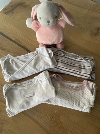 Lot bodys manches longues