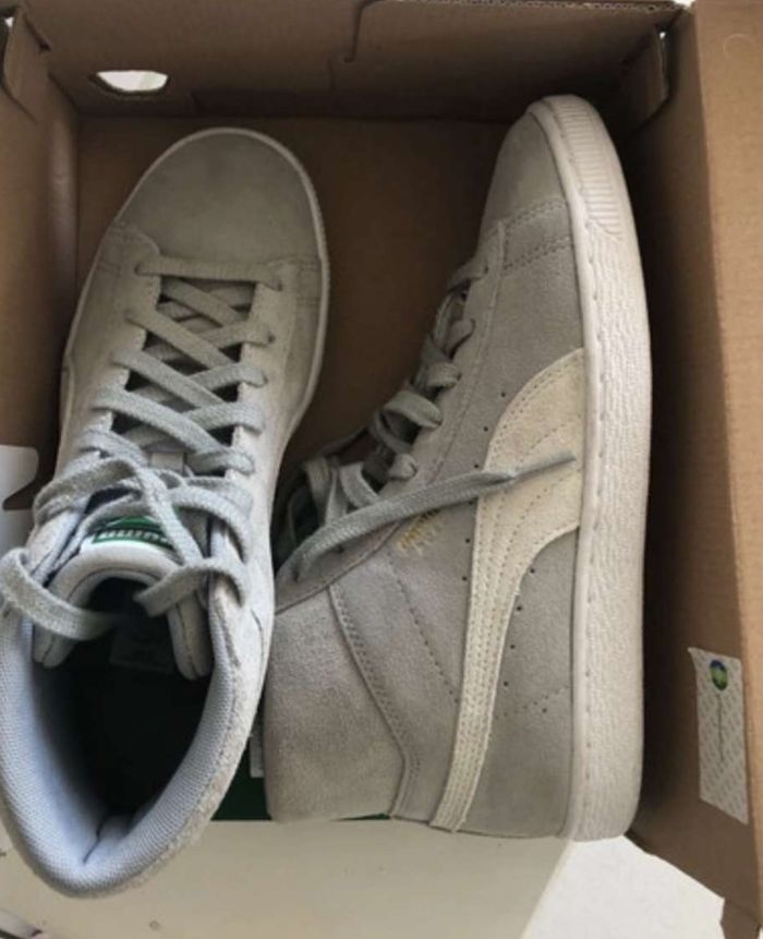 Puma grise - photo numéro 2