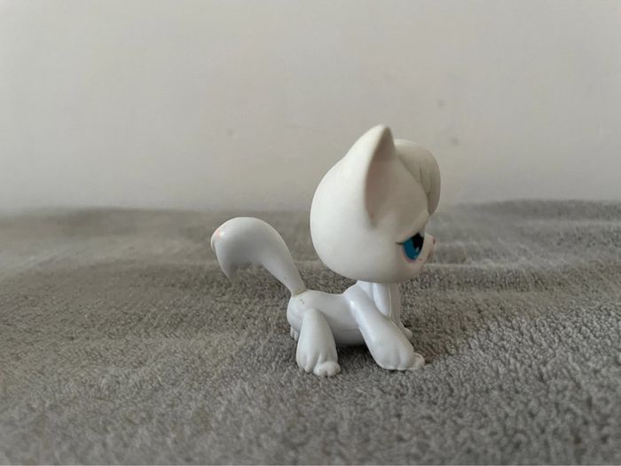 Pet shop de 2007 - photo numéro 2