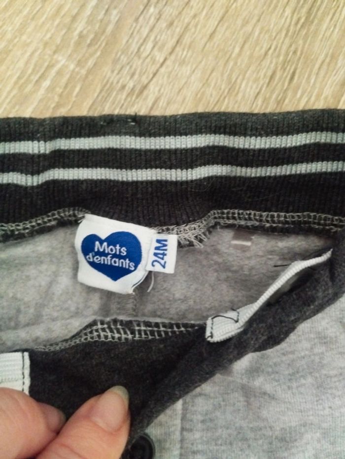 Pantalon type jogging gris garçon 24 mois - photo numéro 3