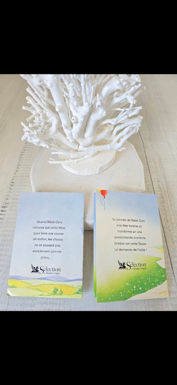Livres histoire bébé ours - photo numéro 6